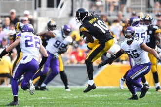 Minnesota Vikings vs Pittsburgh Steelers Match Player Stats