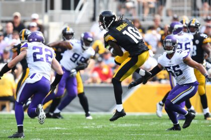 Minnesota Vikings vs Pittsburgh Steelers Match Player Stats