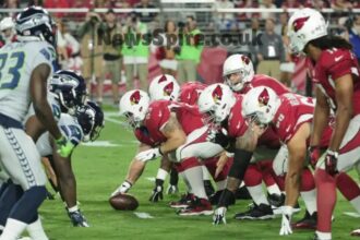 Seahawks vs Arizona Cardinals Match Player Stats