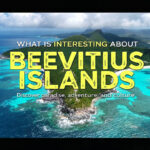 what is interesting about beevitius islands
