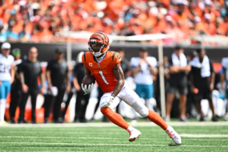 Bengals vs Jacksonville Jaguars match player stats
